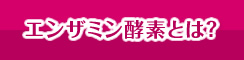 エンザミン酵素とは？