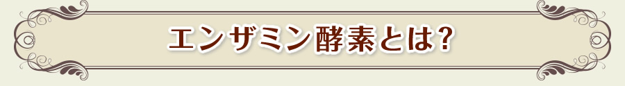 エンザミン酵素とは?
