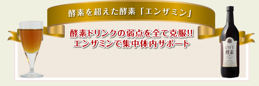 酵素を超えた酵素「エンザミン」 酵素ドリンクの弱点を全て克服！！エンザミンで集中体内サポート